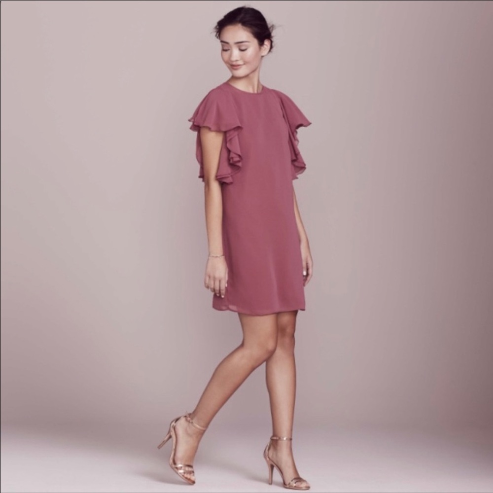 NWT LC Lauren Conrad Shift Dress w/ Ruffle Sleeves